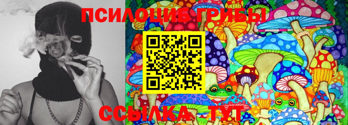 Галлюциногенные грибы MAGIC MUSHROOMS  Вход с VPN  хочу наркоту  Великие Луки 